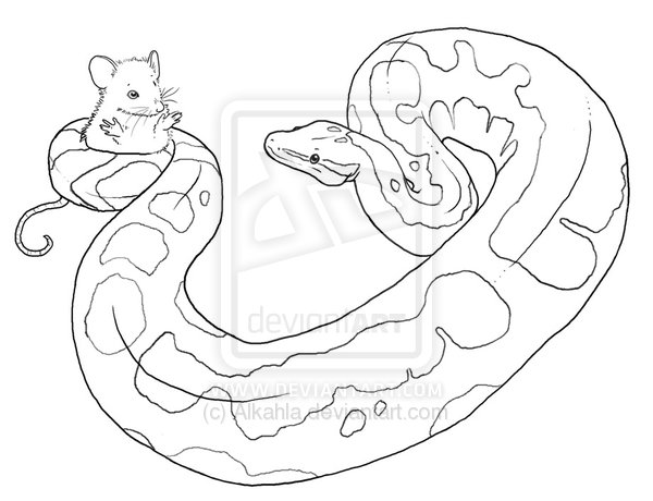 Titanoboa Coloring Page Coloring Pages
